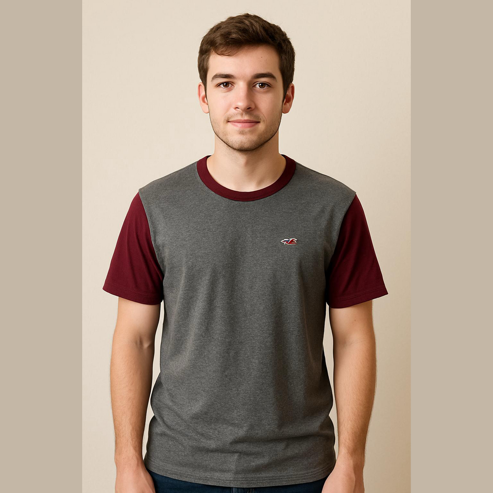 Hollister men’s tee
